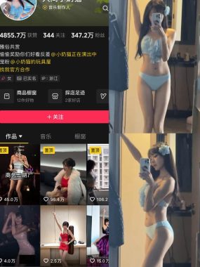 抖音网红人间小奶猫岛遇全套作品资源合集